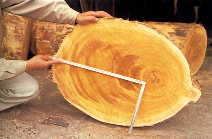 木取りの寸法を測る