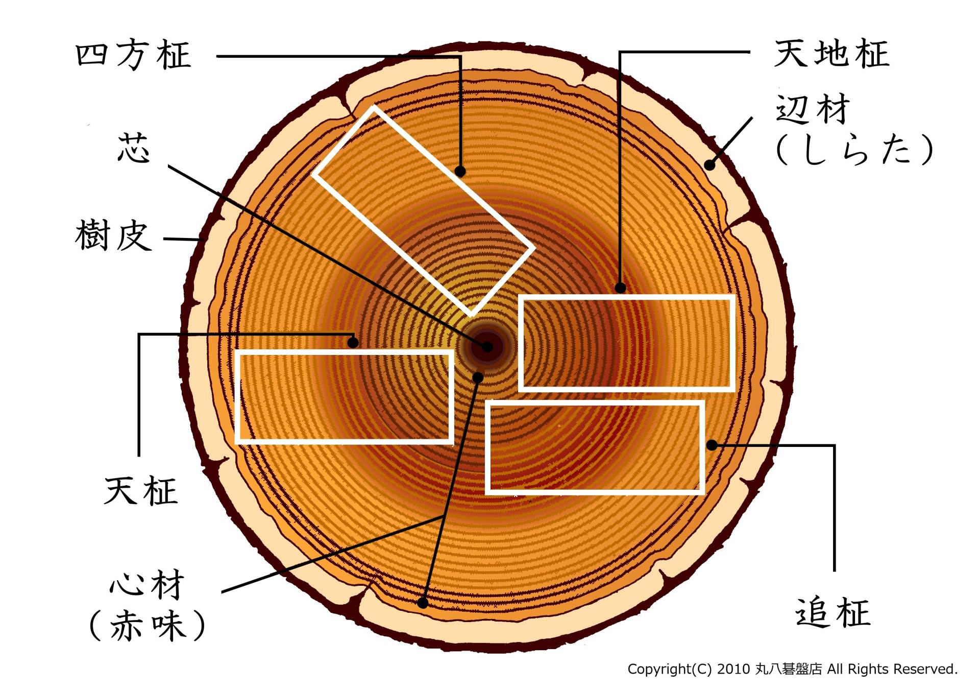 囲碁盤 天地柾 柾目 美杢目 約17.5cm 天然木